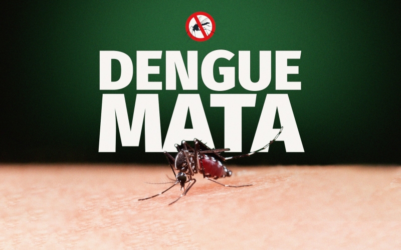 VAMOS COMBATER  A DENGUE... A DENGUE MATA..