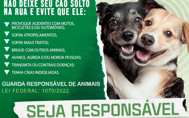 Programa de Castração gratuita