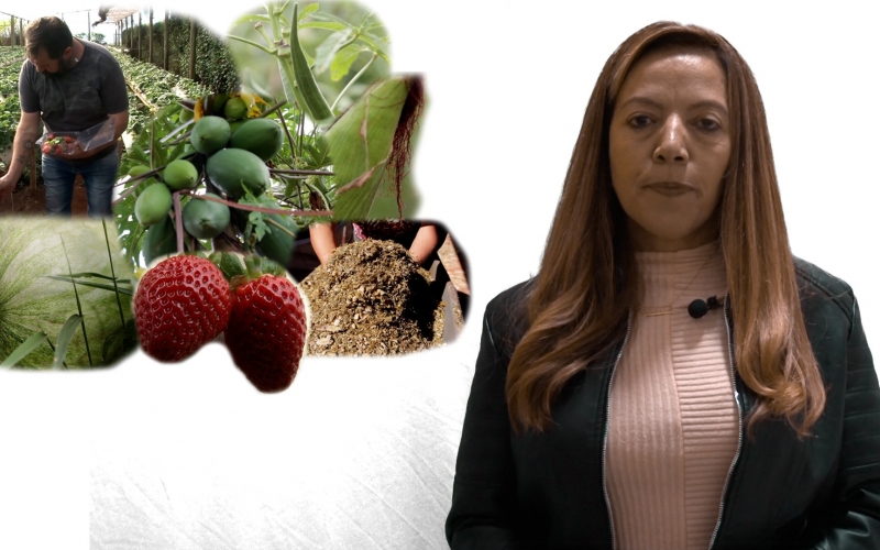 homenagem para o agricultor 