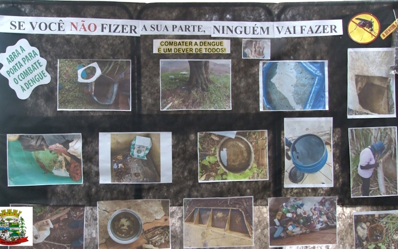 O QUE VOCÊ ESTÁ FAZENDO PARA COMBATER O MOSQUITO AEDES AEGYPTI??