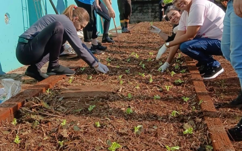 CULTIVAR A TERRA TAMBÉM É UMA FORMA DE CUIDAR DAS PESSOAS 